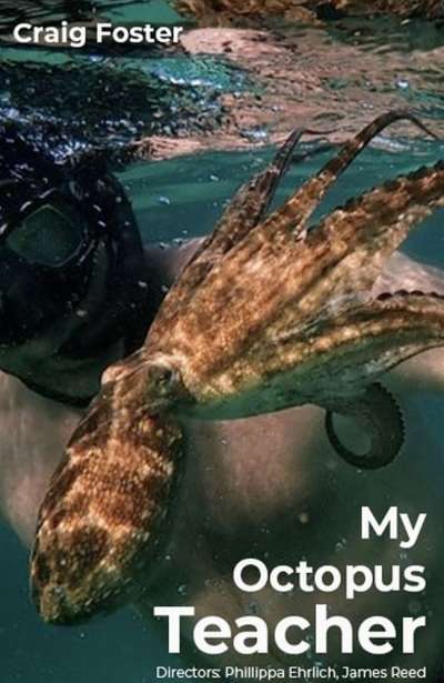 معلم اختاپوس من